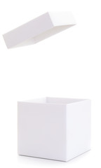 Gift box flowers.