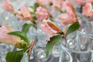 Closeup of tender flowers decoration on wineglass at corporate event © polinabelphoto