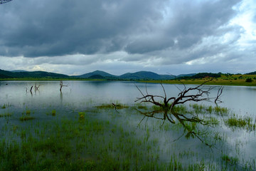Lake at Pilanesberg NP, South Africa with Cloudy Sky
