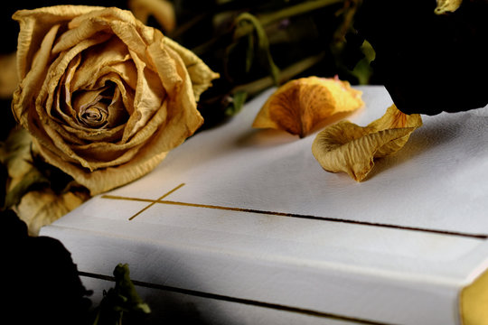White Holy Bible, faded flowers and dry petals close up. Conceptual image of death, remembrance and funeral.