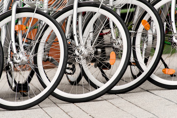 wheels of bicycles. Bikes for hire on Stockholms city street, modern clean urban transport. Sweden	