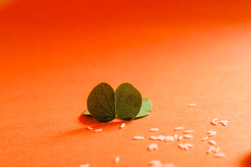 Happy Dussehra greeting card , green leaf and rice
