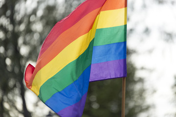 Rainbow Flag waving in the wind