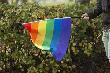 Person Carrying Rainbow Flag