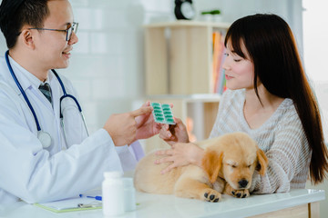 Veterinary give a medicine to a cute woman for the sick golden retriever puppy