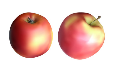 red yellow apples © Yevhen