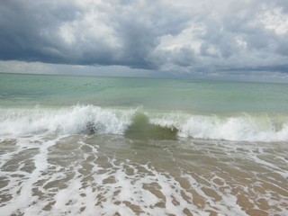 foamy wave washing the shore