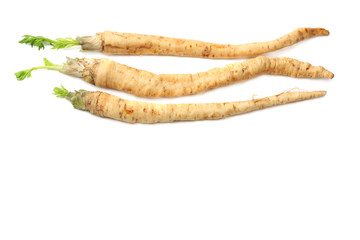 fresh parsley root isolated on white background