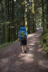 Man walking through a forest with a backpack