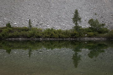 Symmetric relection of trees on a mountain lake