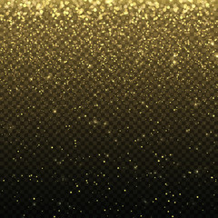 Fototapeta na wymiar Gold glitter particles for the card, invitation. Lights effect isolated on transparent background. Graphic concept for your design.