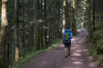 Obraz premium Man walking through a forest with his trekking backpack
