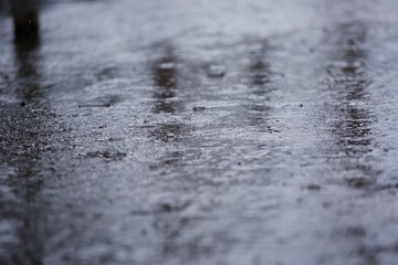 Rain drops falling on the road.