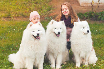 Smiling girls sit with white Samoyed dogs