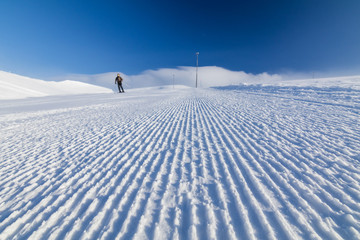 Fototapeta na wymiar alpine skier on a fresh ski slope