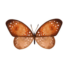 Watercolor colorful butterflies set, isolated on white background. Brown butterfly illustration. Design for card, invitation, greeting, letter, poster, cover.