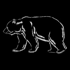 Image of a polar bear on a black background. Vector image.