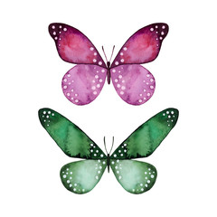 Watercolor colorful butterflies set, isolated on white background. Pink and green butterfly illustration. Design for card, invitation, greeting, letter, poster, cover.
