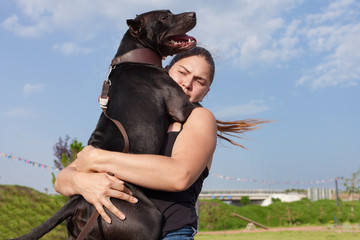 American Stafford Terrier dog huges the owner sitting on her hands. Young caucasian woman holds the...