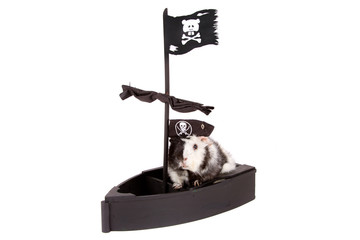 Cute Guinea pig on a pirate ship in a orsair hat