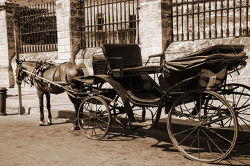 Fototapeta na wymiar Horse and vintage coach waiting the passengers close to fence, outdoors. Cuba, Havana, sepia, retro-effect.