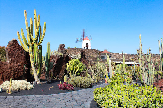 Jardin de Cactus - Lanzarote / Canarias (Spain)