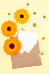 Envelope of kraft paper with a blank message and with beautiful daisies flowers