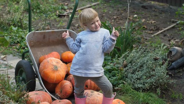 Cheerful and joyful girl with blond hair laughs sitting on a pumpkin carriage shows like 4k