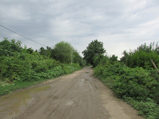 road in the forest