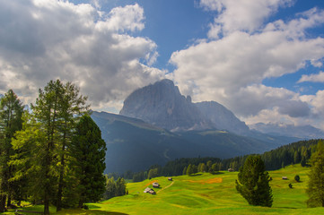 Alm mit Blick auf Langkofel