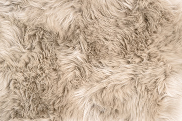 Sheep fur Natural sheepskin rug background