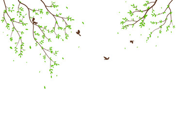 beautiful tree branch with birds silhouette background for wallpaper sticker