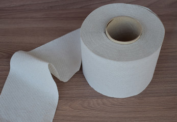 Roll of toilet paper on a dark background.
