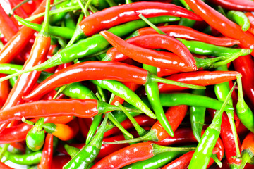 Hot red chili or chilli pepper.