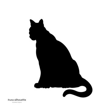 Black silhouette of sitting puma. Isolated image of cougar on white background. Animal of North America