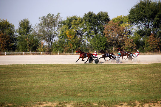 Harness racing horses in fast motion at hippodrome