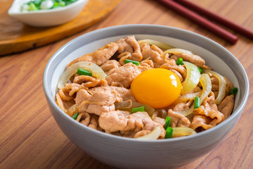 Fried pork with egg and rice in bowl. Japanese food style, Donburi