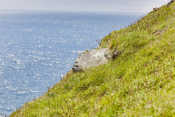 Sloped meadow with ocean in the background and horizon