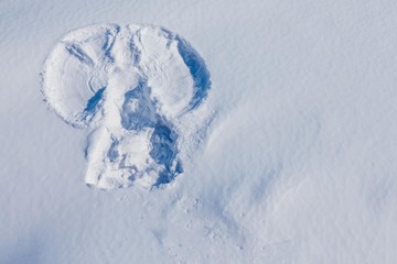 Wings of an angel in the snow.