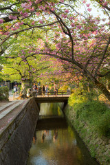 passeggiata del filosofo