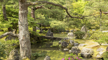 GINKAKU-JI
