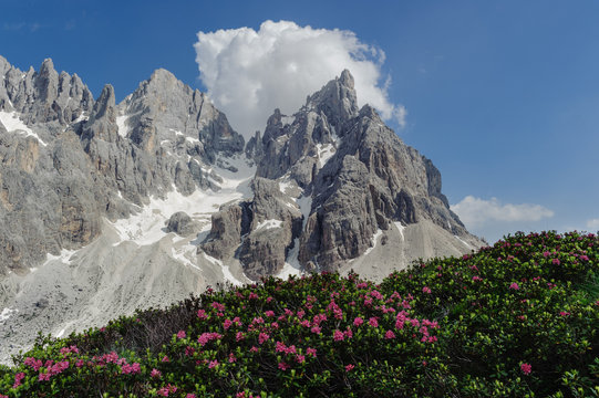 Pale di San Martino