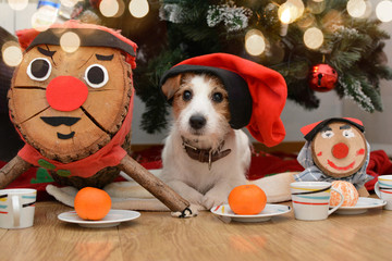 CUTE JACK RUSSELL DOG CELEBRATING TRADITIONAL CATALAN CHRISTMAS WITH A RED HAT AND A LOG - obrazy, fototapety, plakaty