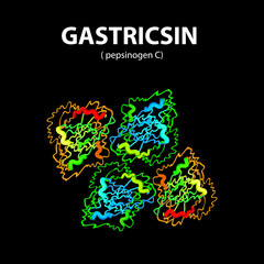 Gastricsin is a molecular chemical formula. Enzyme of the stomach, gastric juice. Infographics. Vector illustration on black background.