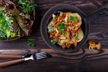 Fried chanterelle mushrooms with potatoes in frying pan on dark background. Top view. © geshas