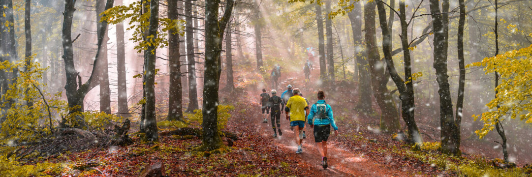 Joggen beim ersten Schneefall im Herbst, stimmungsvolles Waldpanorama 