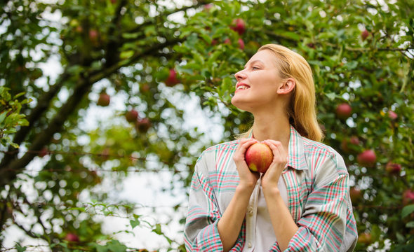 Farm produce organic natural product. Girl rustic style gather harvest garden autumn day. Farmer pretty blonde with appetite red apple. Harvesting season concept. Woman hold apple garden background