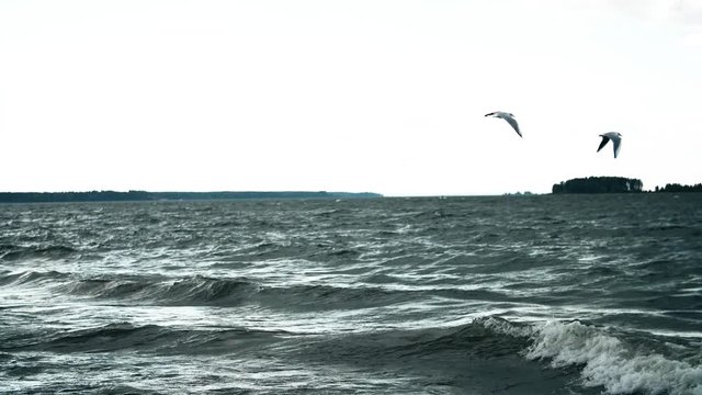 People kitesurfing in ocean. Extreme kite boarding in real time. Summer fun action sports. Kiteboarding at sunrise, active lifestyle extreme sport.
