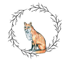 fox/Watercolor illustration, hand drawn. 
