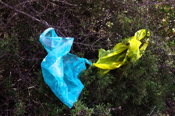 Plastic pollution, plastic bags caught in trees